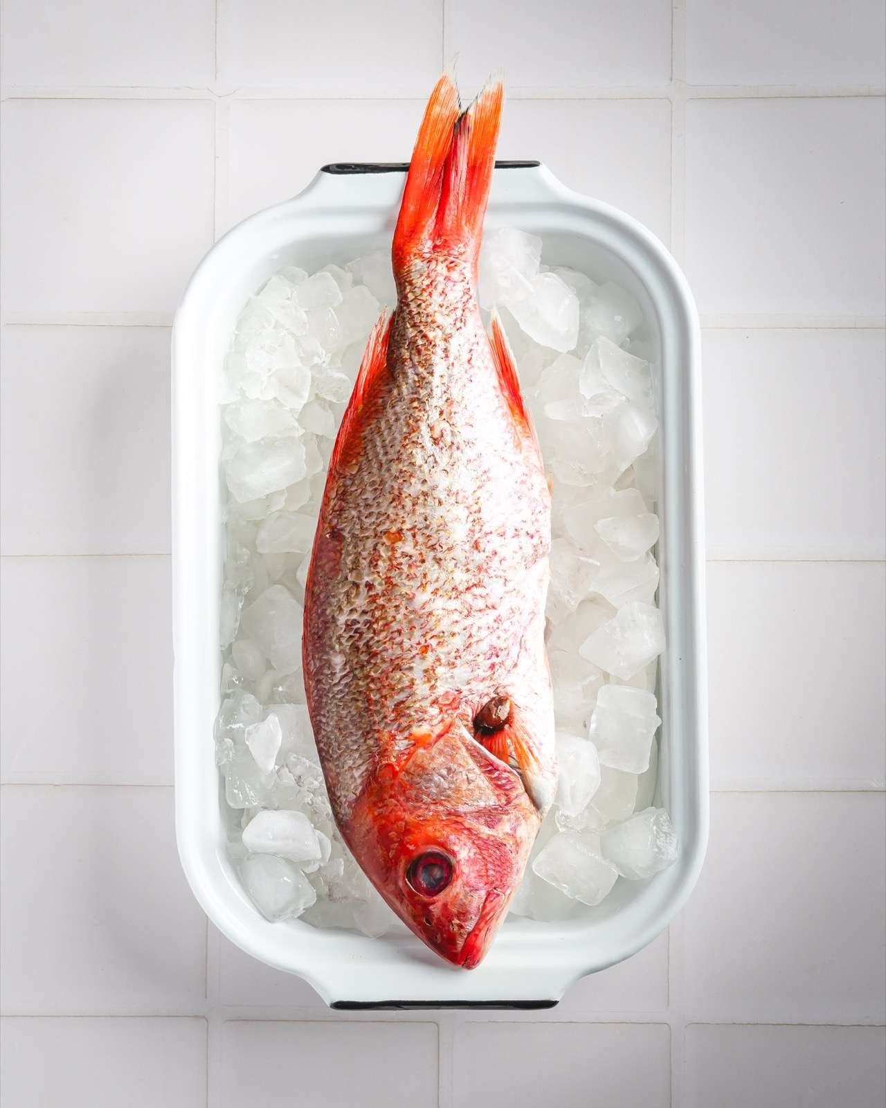 placeholder image-sq